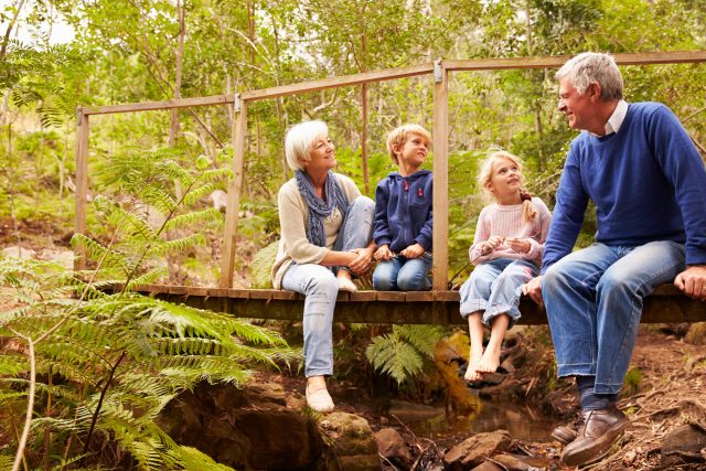 a group of people sitting on a bridge in the woods.